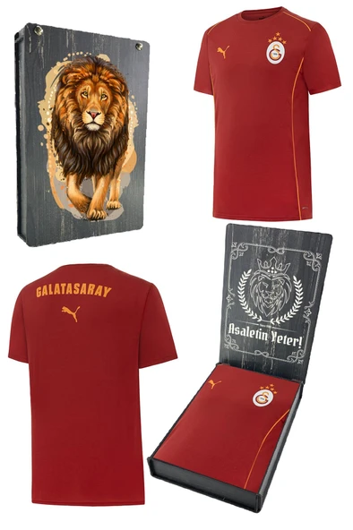 Galatasaray Orijinal Lisanslı Sıfır Yaka Kırmızı Antrenman 5 Yıldızlı T-Shirt Gs Aslan Baskılı Hediyelik Ahşap Kutulu ürün görseli 1