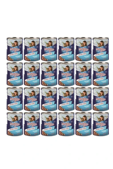Balıklı Kedi Konservesi 405 gr 24 Adet - 1