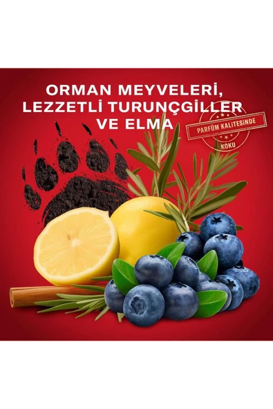 Bearglove 3In1 Erkek Duş Jeli ve Şampuan 1000 ml XXL - 3
