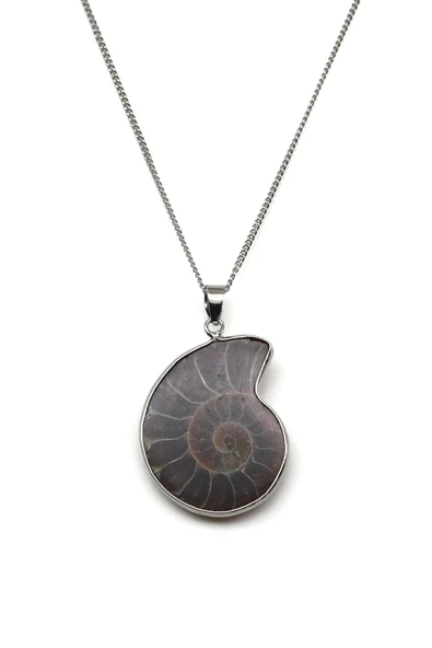 Ammonit Kolye - 6 Gr. ürün görseli