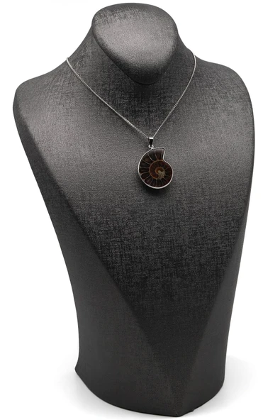 Ammonit Kolye - 6 Gr. - Resim 2