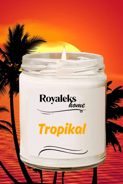LitaeTrend 4 Adet Doğal Özel Seri Kokulu Dekoratif Kavanoz Mum 4X210 cc - Tropikal Set - RYL - Resim 4