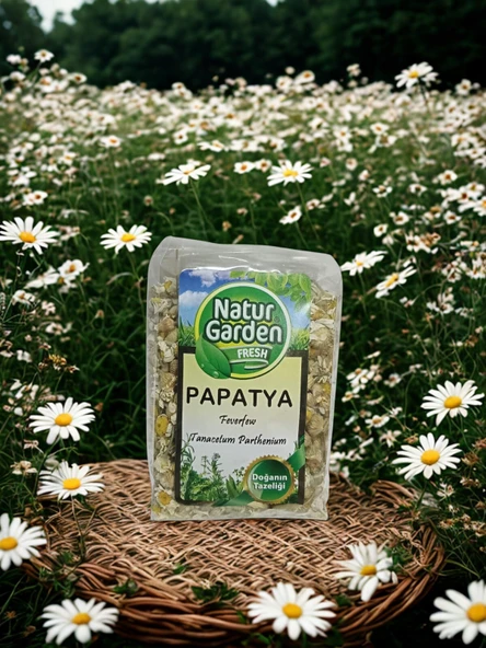 papatya ürün görseli