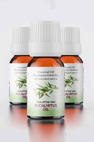 Proclis Okaliptüs Yağ, Doğal Uçucu Yağ, Eucalyptus Oil, 3'lü Set 3x10 ml