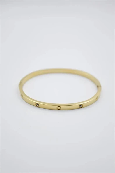 LitaeTrend CRT Model Taşlı İnce  Bilezik - Altın - Resim 2