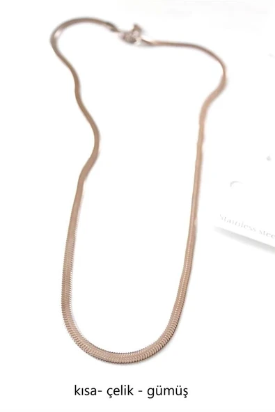 LitaeTrend Kısa İtalyan Çelik Kolye-45 CM - Gümüş ürün görseli 1