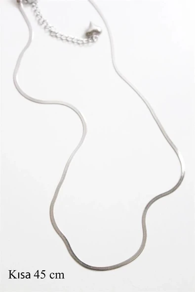LitaeTrend İnce İtalyan Zincir Çelik Kolye (45cm) - Gümüş ürün görseli 1