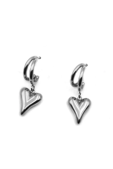 LitaeTrend Kalp Küpe - Gümüş - Resim 2