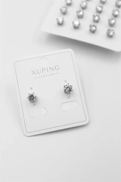 LitaeTrend Orta Boy Zirkon Taşlı Tektaş  Küpe - Gümüş ürün görseli 1