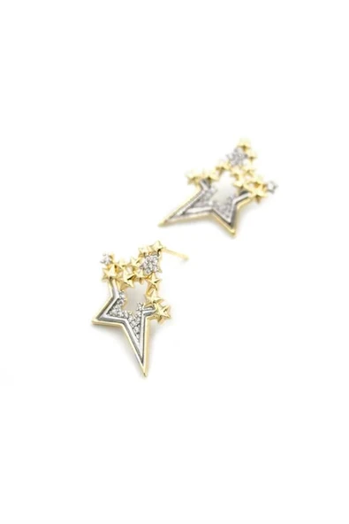 LitaeTrend Taşlı Yıldız Küpe - Altın - Resim 2