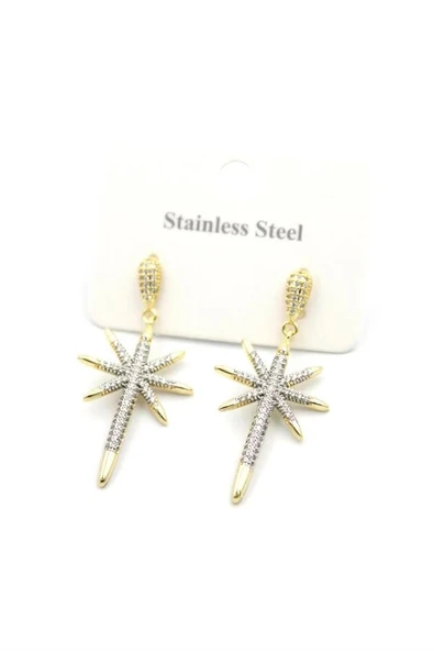 LitaeTrend Kutup Yıldızı Küpe - Altın - Resim 2