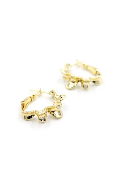 LitaeTrend Burgu Halka Küpe - Altın ürün görseli 1