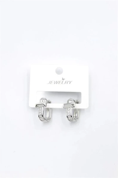 LitaeTrend Taşlı Küpe - Gümüş - Resim 2