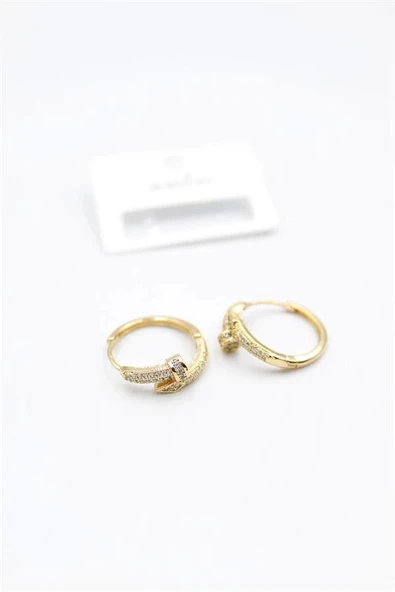 LitaeTrend Taşlı Çivi Küpe - Altın - Resim 2