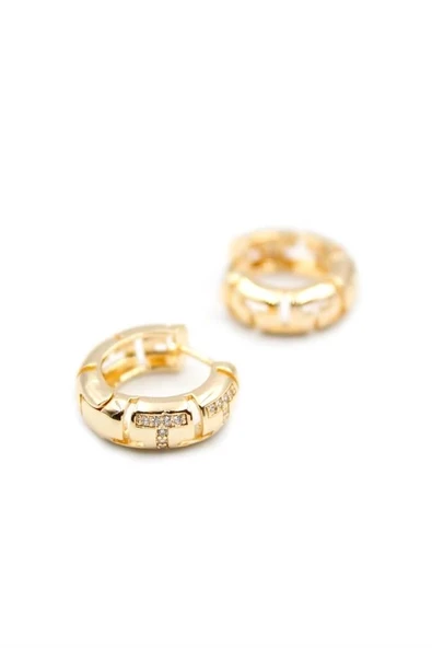 LitaeTrend Taşlı Halka Küpe - Altın - Resim 2