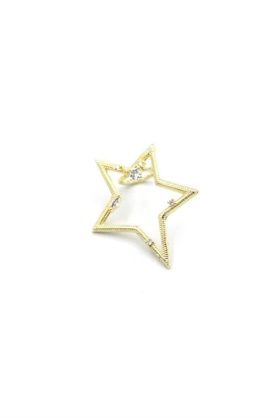 LitaeTrend Yıldız Kıkırdak Küpe - Altın ürün görseli 1