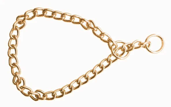 Doggie Eğitim Serisi Zincirli Köpek Boyun Tasması 3,5x55 cm - Gold - Resim 2