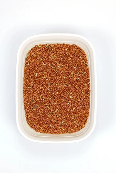 LitaeTrend Kırmızı Darı Sade Tozsuz Doğal Taze Kuş Yemi - 5 kg - 2