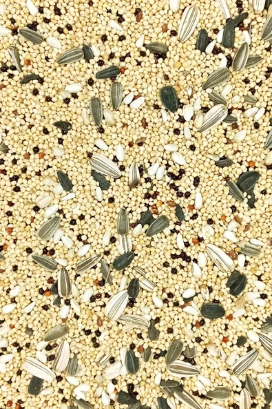 LitaeTrend Sultan Papağanı Karışık Doğal Taze Kuş Yemi - 1 kg - Resim 3