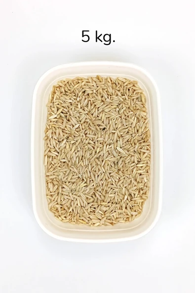 LitaeTrend Tüm Kuşlar İçin Doğal Taze Soyulmuş İç Yulaf - 5 kg - 1