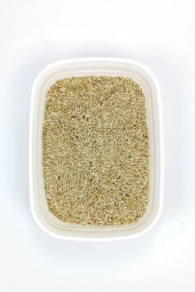 LitaeTrend Doğal Taze Kanarya Sade Kuş Yemi - 3 kg - 2