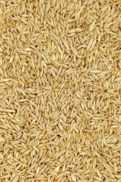 LitaeTrend Tüm Kuşlar İçin Doğal Taze Soyulmuş İç Yulaf - 3 kg - 3