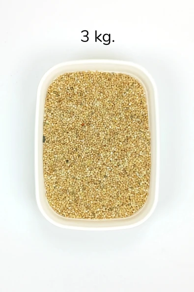 LitaeTrend Muhabbet ve Tüm Egzotik Kuşlar İçin Doğal Taze Tane Sarı Darı - 3 kg - 1