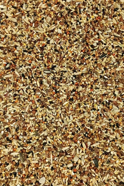 LitaeTrend Tüm Kuşlar İçin Doğal Taze Sağlık Tohumu Karışımı - 5 kg - 3