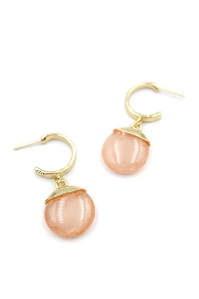 LitaeTrend Taşlı Halkalı Küpe - Pembe - Resim 2