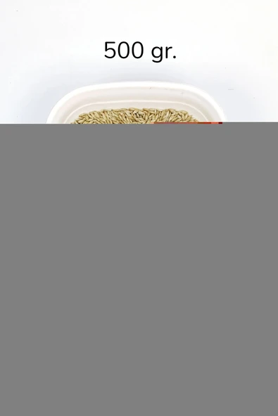 LitaeTrend Doğal Taze Kanarya Sade Kuş Yemi - 500 gr - 1