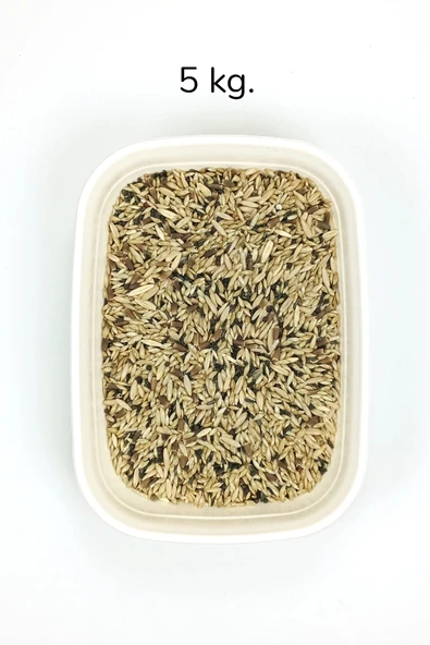 LitaeTrend Kanarya Karışık Kuş Yemi Doğal Taze - 5 kg - 1