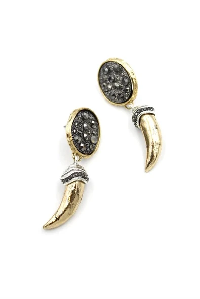 LitaeTrend Parlak Taşlı Boynuz Küpe - Altın ürün görseli 1