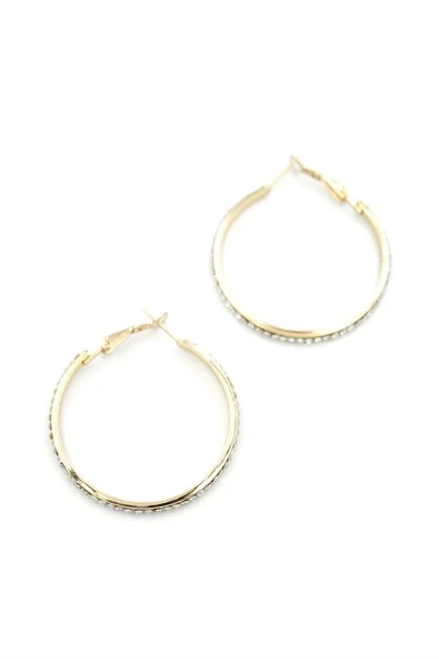 LitaeTrend Taşlı Halka Küpe - Altın - Resim 2