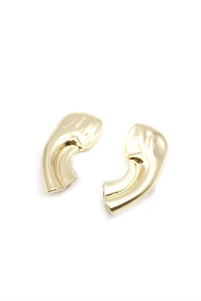 LitaeTrend Kıkırdak Küpe - Altın ürün görseli 1