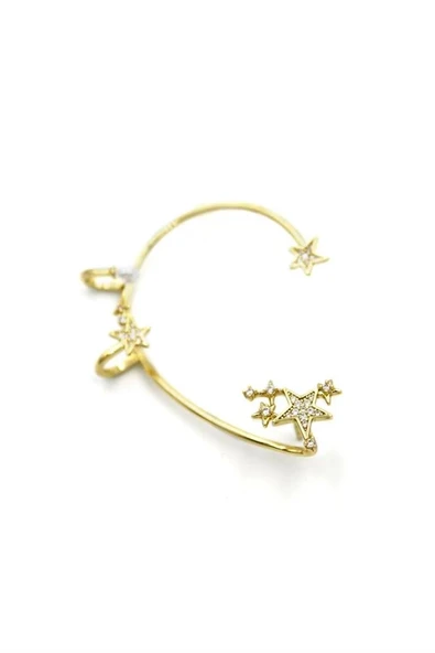 LitaeTrend Taşlı Kıkırdak Küpe - Altın - Resim 2