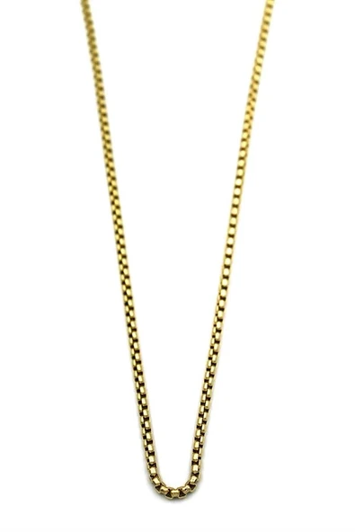 LitaeTrend Yılan Zincir Kolye - 45 cm - Altın - Resim 2