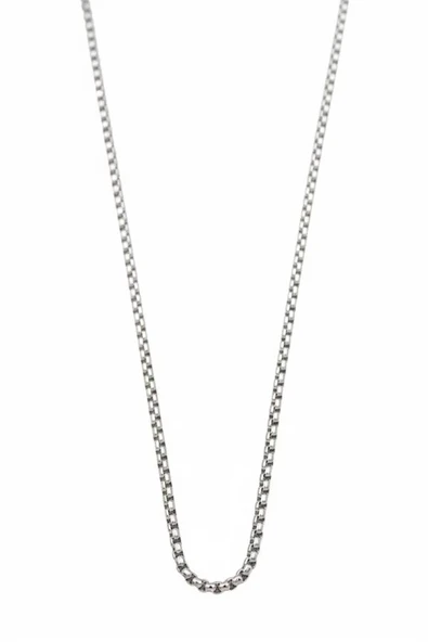 LitaeTrend Yılan Zincir Kolye - 45 cm - Gümüş - Resim 2