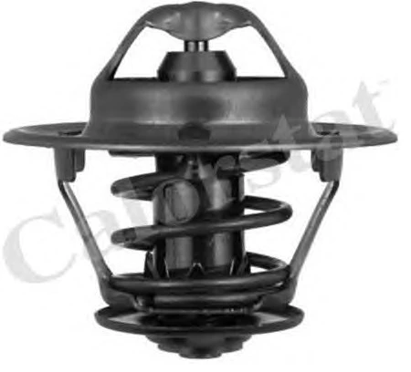 TERMOSTAT TH3309.74J MASTER 2.5D TD (89-97) 5000816924 (5898.76) 5000816924 ürün görseli