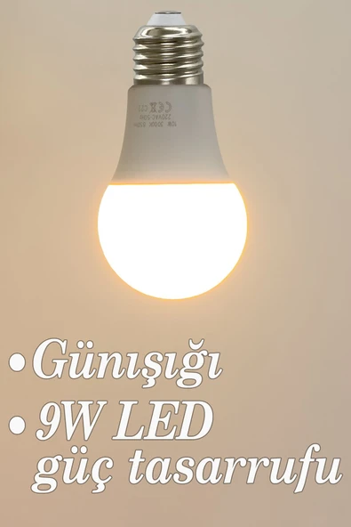 Vivido Home Gün Işığı Led Ampul 9W