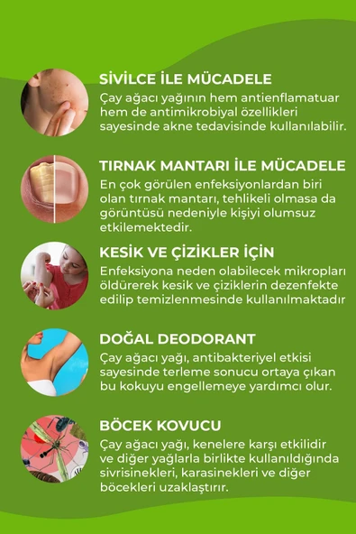 PROCLİS Çay Ağacı Yağ, Uçucu Yağ, Tea Tree Oil, 2'Lİ Set 2x10 ml - 5