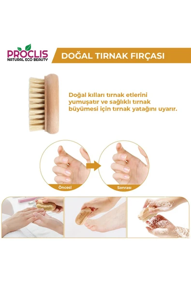 Doğal At Kılı Tırnak Fırçası, %100 Doğal  Vegan Tırnak Fırçası - 2