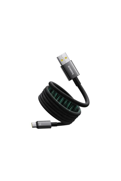 Baseus Tungsten Gold Şarj Kablosu 100W 1m USB Type-C ürün görseli 1
