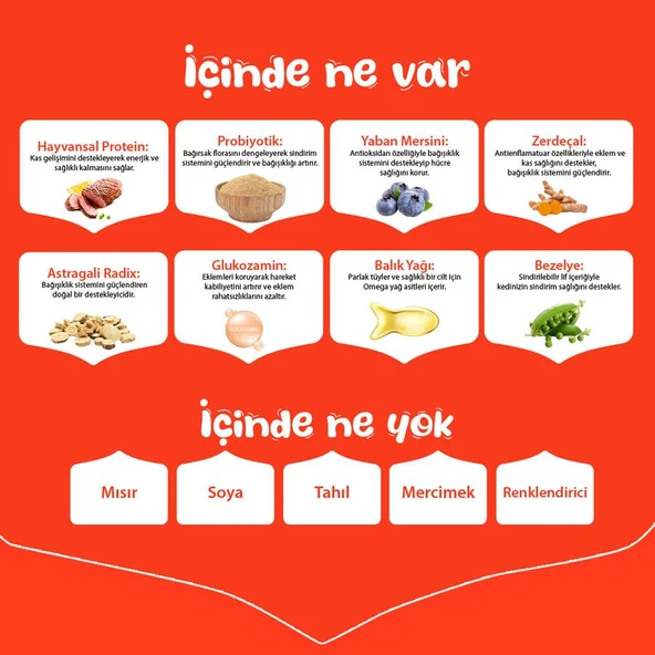 Wanpy Tahılsız Ördekli Yetişkin Köpek Maması 1,5 Kg - Resim 4