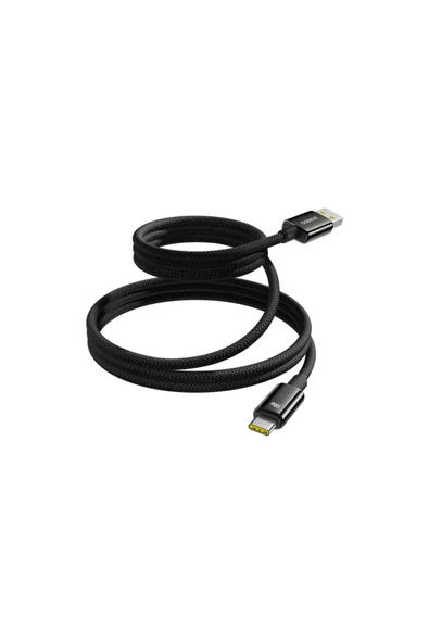 Baseus Tungsten Gold Şarj Kablosu 100W 1m USB Type-C - Resim 3