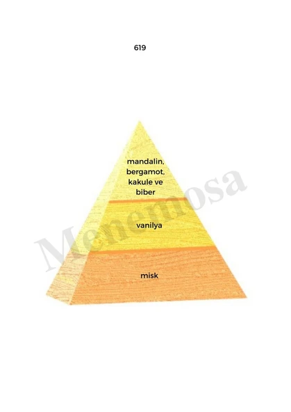 619 + 619  Erkek Parfüm Edp  Oriental - Mnms6192 - Resim 2