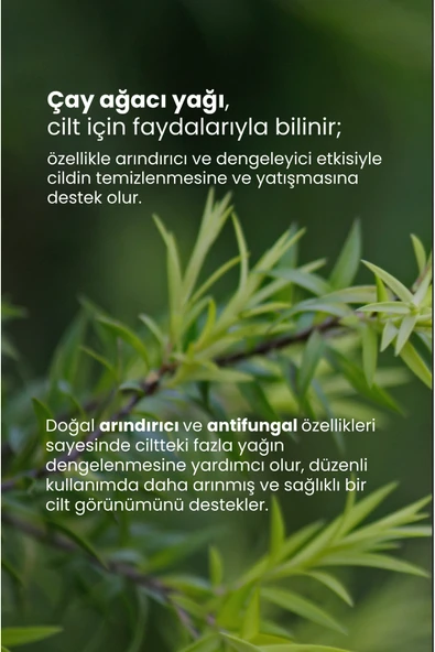 Tto Öay Ağacı Yağı 10ml - 3