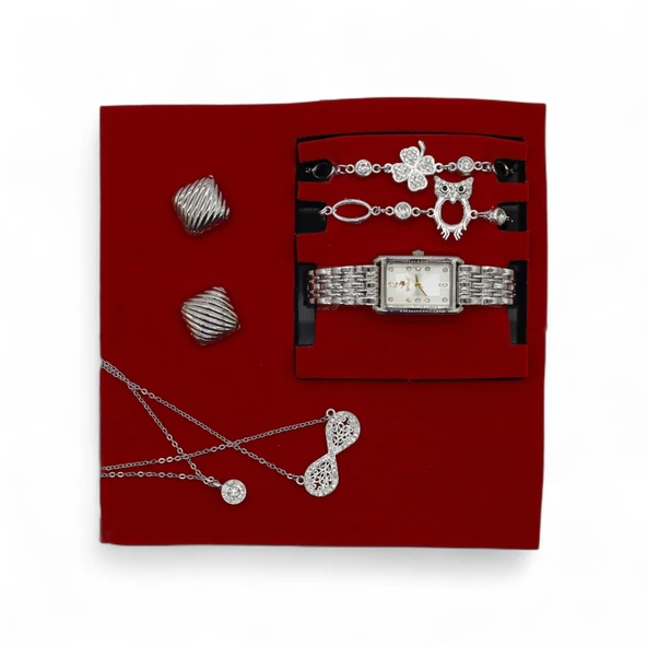 S Polo Kadın Saat Bileklik Kolye ve Küpe Hediyeli Kombin Set Kutu Gümüş Renk - 2