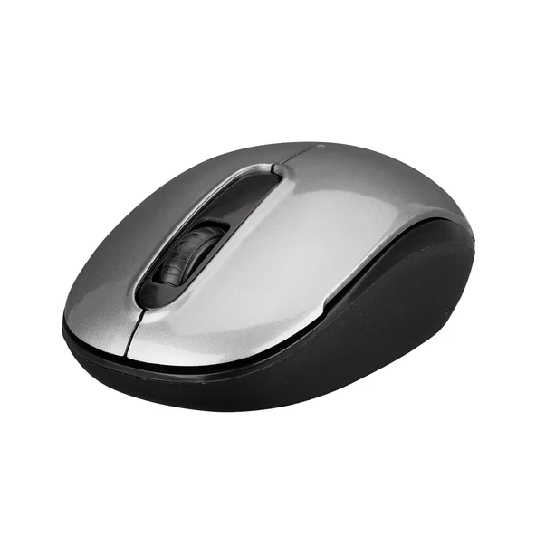 Everest SMW-666 Gümüş USB 2.4 GHZ Optik Kablosuz Mouse 1500Dpı - 1