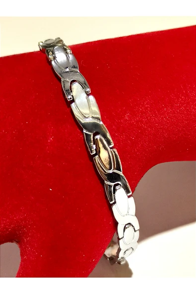 Monalisa Home Gümüş Renk  Lüks Gösterişli Zincir Erkek Bileklik ürün görseli 1