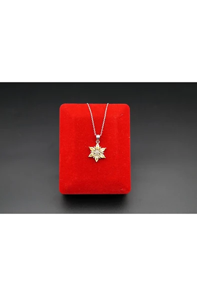 925 ayar gümüş sarı kanatlı lotu skadın kolye sk00049 - 1